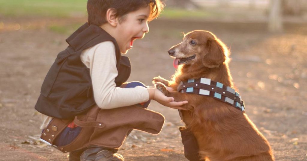 cani e bambini