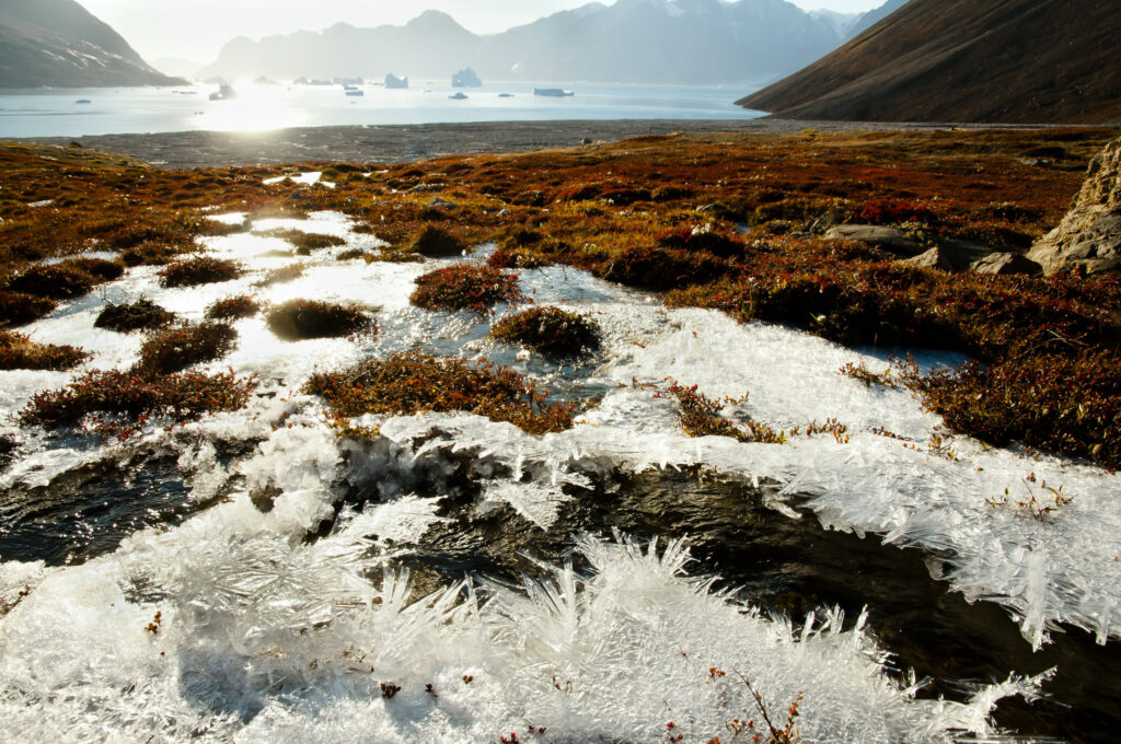 permafrost e i suoi segreti